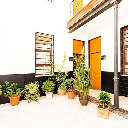 Dreams Home Alameda Σεβίλλη Εξωτερικό φωτογραφία